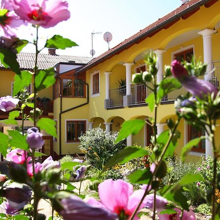 Weingut - Gaestezimmer Zum Schwalbennest Apartment Herrnbaumgarten Exterior photo